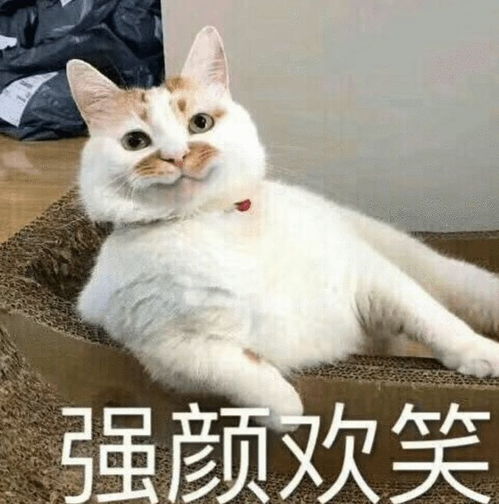  惊知名酒店客房内竟暗藏摄像头警方紧急通报