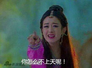  哪张最美