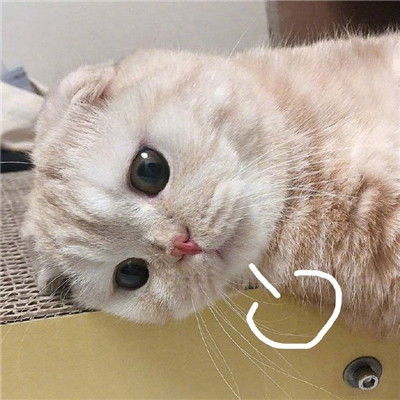  2021最新叹气无奈表情包2021最火的表情包