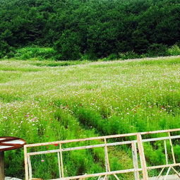  2019本溪大峡谷门票,本溪本溪大峡谷游玩攻略,本溪大峡谷游览攻略路线地址门票价格