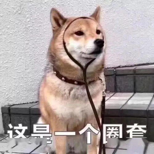  superidol的笑容,都没它的牙吓人