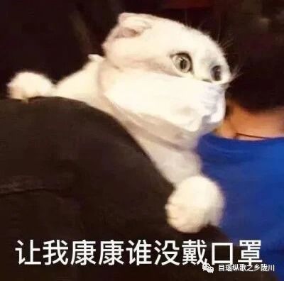  曝光不戴口罩数十人上榜