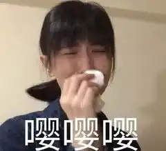 我太难了表情包搞笑版差