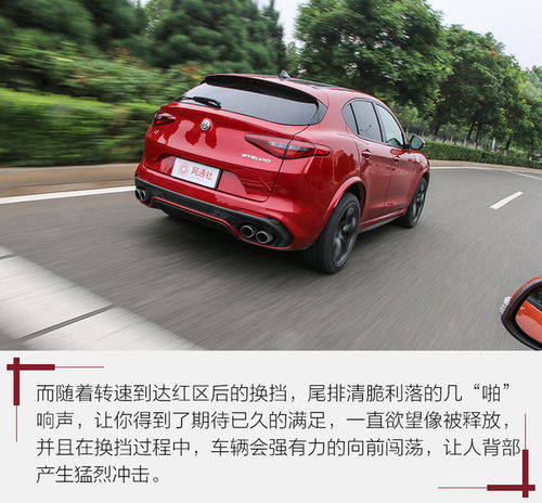  suv除了urus,还见过谁01破4秒测stelvio四叶