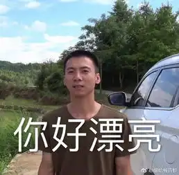 华农兄弟表情包中暑别吃