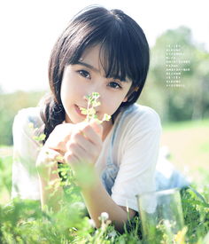  摄影如歌zyzcool