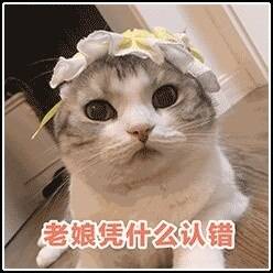  为什么会有些人说市场走错了,行情错了