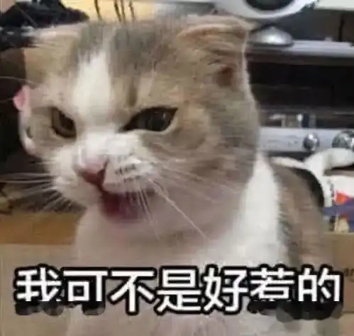  喵星人超火表情包不然要我怎样像只小猫一样撒娇喵