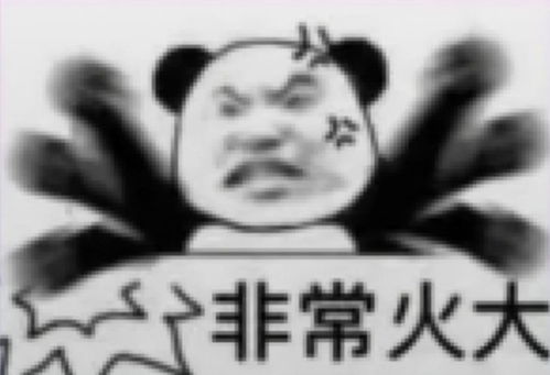  你们最爱的熊猫头表情包大学生,很轻松的