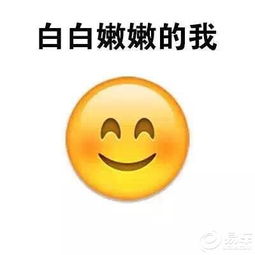  索纳塔九社区图片集锦