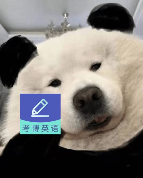 给钱的表情包动态图片托