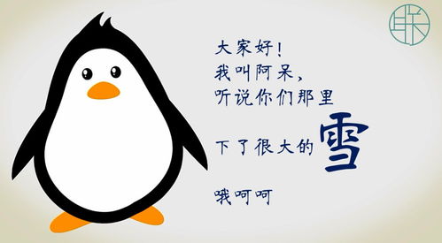 冰天百花葬表情包表情