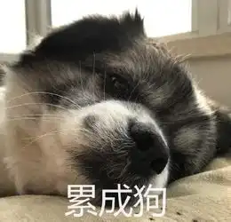 狗东西表情包累成狗