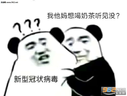  新型冠状病毒快给老子消失听见没图片新型冠状病毒你听见没熊猫头表情包无水印下载乐游网游戏下载