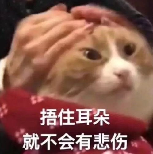  萌宠表情包求求老天爷赐我个男朋友吧