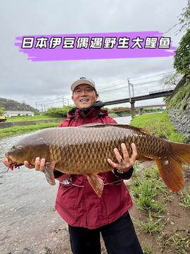  今天带老板娘出来钓鱼原来钓鱼才是抖音运动顶流dou是钓鱼人