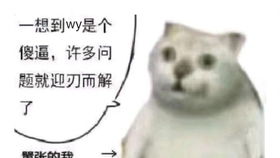  次元娃娃