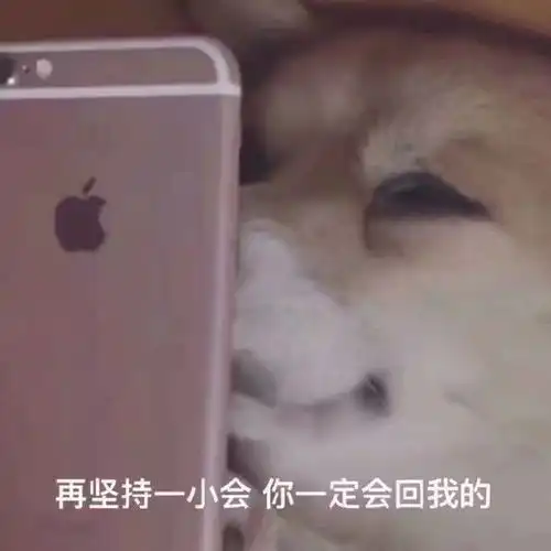  搞笑熊猫头这里怎么会有一个小靓仔
