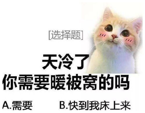  幽默搞笑世界通用头疼疗法,药到病除