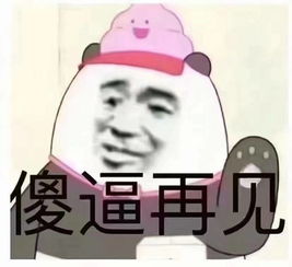 跟女朋友斗图表情包我不