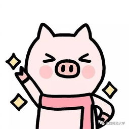  春节福利小师派送拼手气红包,在线查看手气最佳