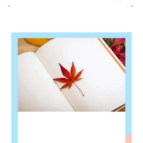  文化艺术类人物素材
