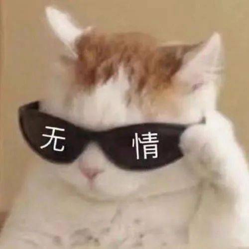  花呗也要上征信网友吵翻了专家却说