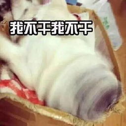  太可怕了吧果然不能让女朋友饿啊她一饿就会胡思乱想一胡思乱想就会找你麻烦这就是她不讲道理时候的样子