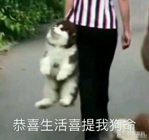 鼓掌表情包图片大全美图