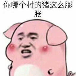  黄子韬自封华语流行乐之王网友抢了汪峰半壁江山