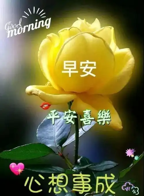  重阳节最新漂亮早上好动态美图鲜花带字,早晨好幸福暖心的问候表情图片