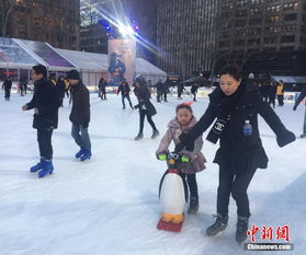  暴风雪后纽约公园重新开放市民滑冰放松