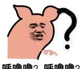  我家猫为什么老是看我上厕所