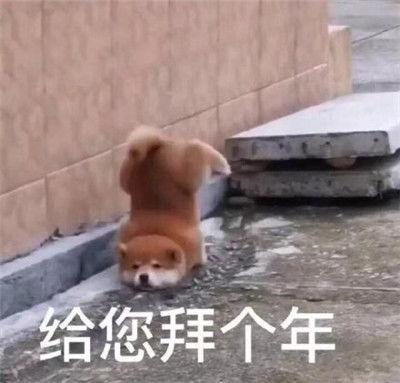  给您拜年了给您拜回去表情包