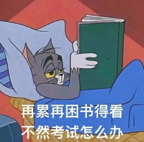 谨言慎行图片表情包考研