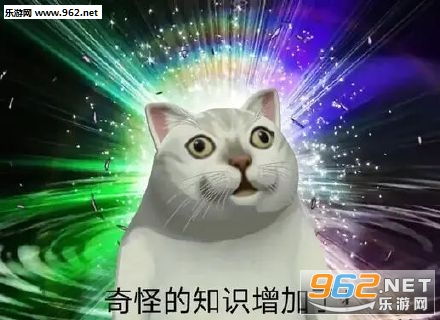  憨憨猫mur猫表情包憨憨猫表情包下载乐游网游戏下载