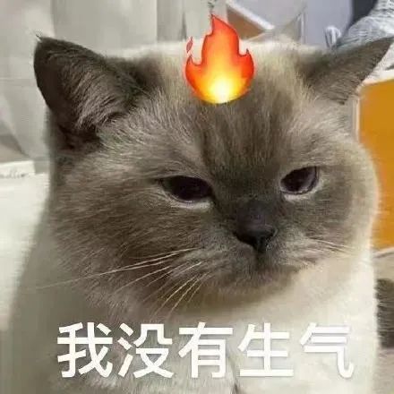  表情包多巴胺在我的脑子里摇骰子
