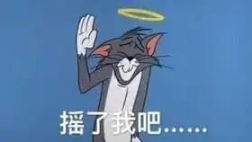  无敌的小橘猫