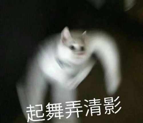  有没有舞西皮的小姐妹