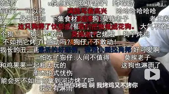  竹鼠杀手华农兄弟,为何成为网友们的快乐源泉