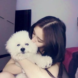  七夕特供18招教你搞定爱狗的女神大敌当前,就要简单粗暴