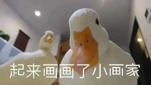  听说这些梗只有本专业的人才懂
