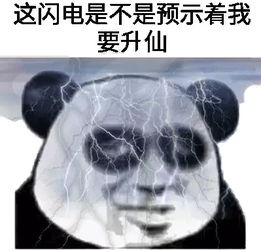  深夜之中,是谁报复了谁