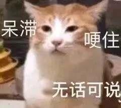  鲸潮丨年轻人不买潮牌,和咸鱼有什么区别