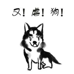 微信头像女生可爱小狗表
