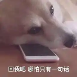  对不起,我还需zhi要neng再鸽周二珂的至暗之日