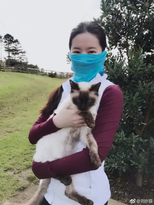  刘亦菲楼猫晒自拍,向阳而生表情太可爱,网友活得不及一只猫