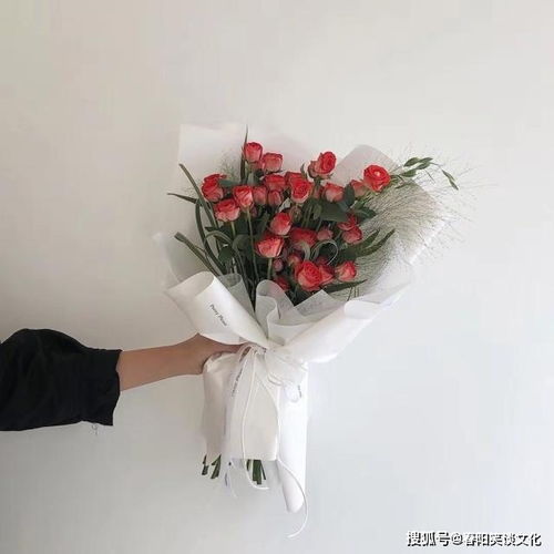  朋友圈简单走心的心情说说,精致唯美,你最喜欢哪句