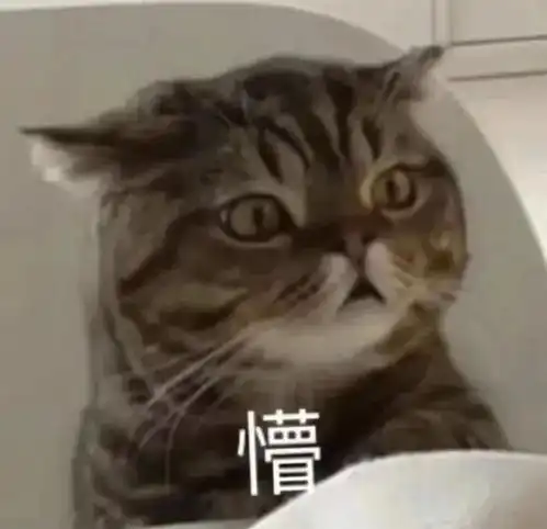 猫的表情包男生专用沙雕