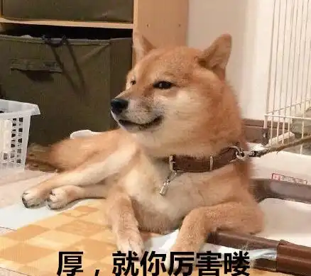  养柴犬的6点好处,抱歉,这辈子我只爱柴犬